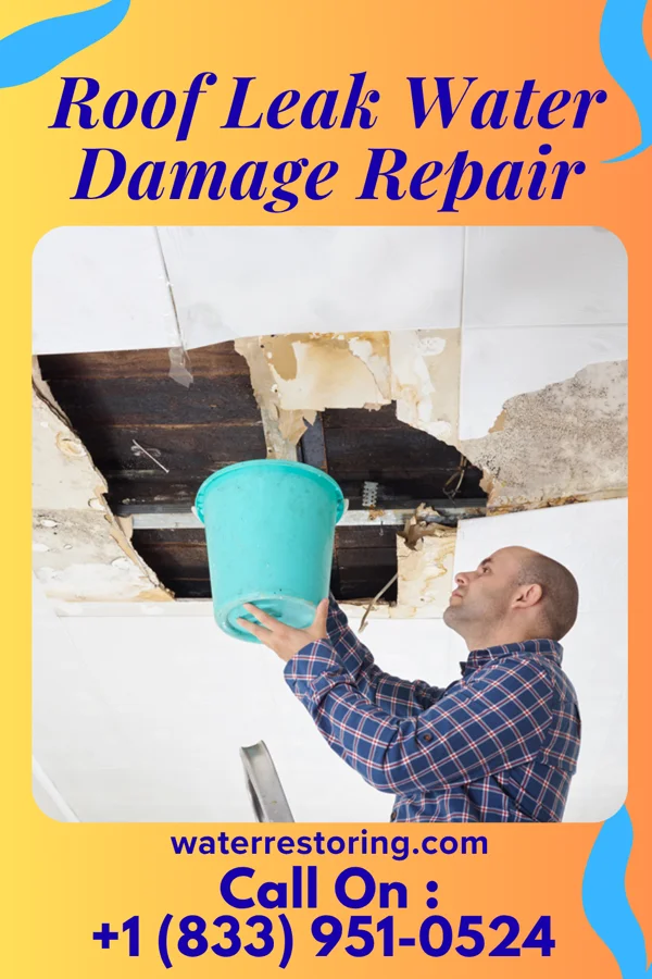 Roof Leak Water Damage Repair in Springdale, OH
