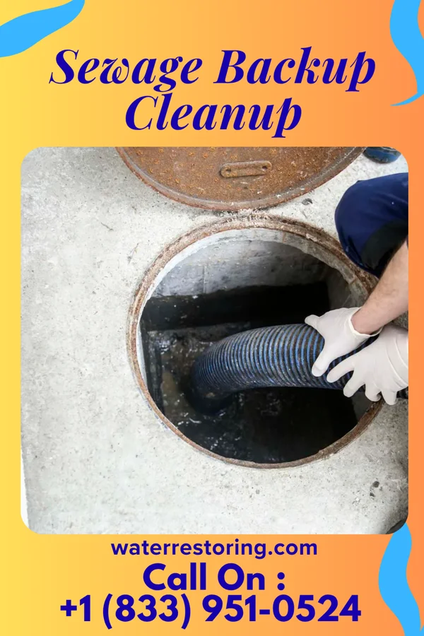 Sewage Backup Cleanup in Springdale, OH