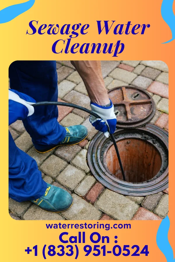 Sewage Water Cleanup in Springdale, OH