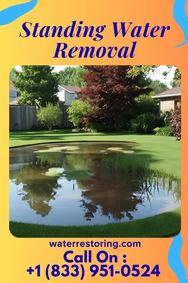 Standing Water Removal in Springdale, OH